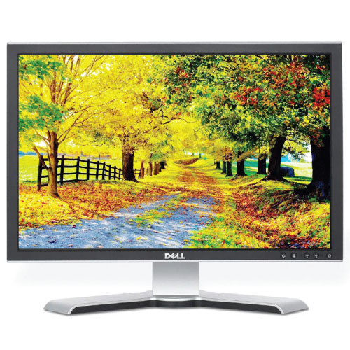 Dell 22" Widescreen Class A DVI/VGA