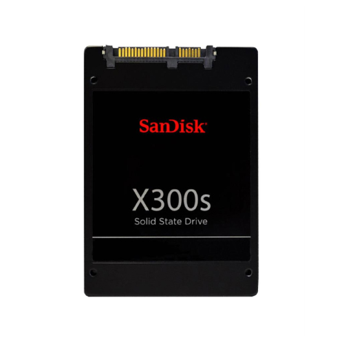 256GB SSD SanDisk X300s EB2